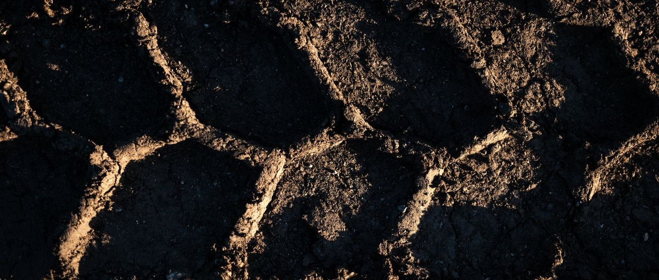 A feedlot was first established on the site, a joint venture between Japan's Mitsubishi Corporation and local farmers, the McInnes Brothers. It was one of the first feed yards in the fertile Liverpool Plains region.