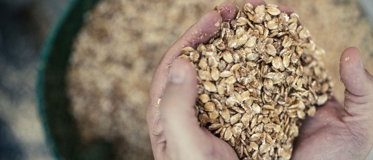 The feedlot was expanded to its then-capacity of 20,000 head, and steam flaking (a feed processing method) was introduced. 