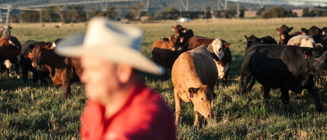 Killara received the Woolworths Supplier of the Year award. 